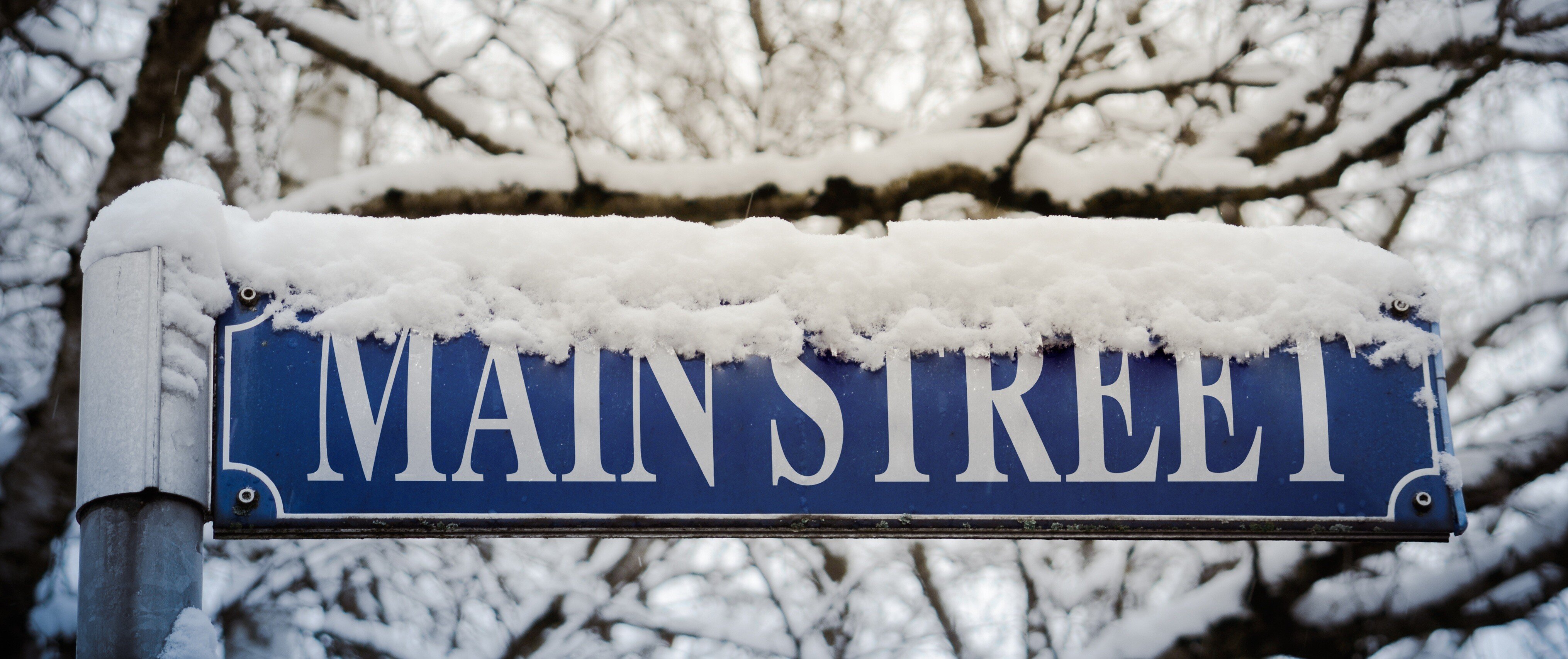 Winter Main Streetcrop