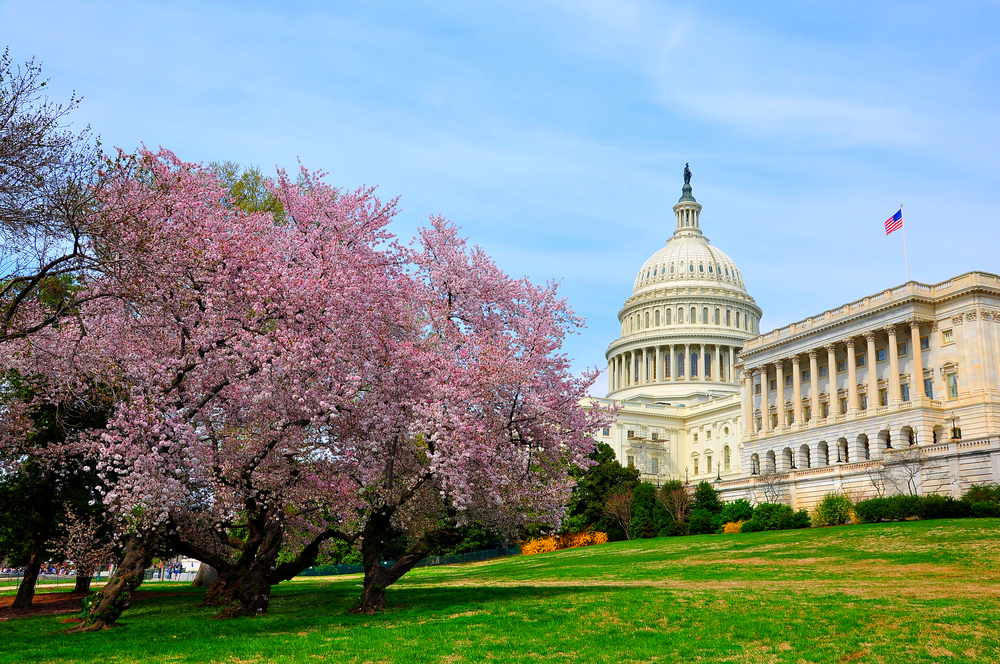 NAIFA Holds its Inaugural Women's Fly-In on Capitol Hill March 29-30, 2023